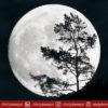 Full Moon July 2025