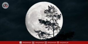 Full Moon July 2025