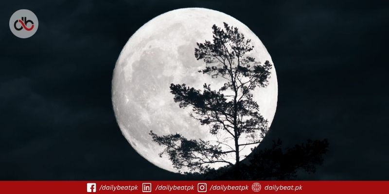 Full Moon July 2025