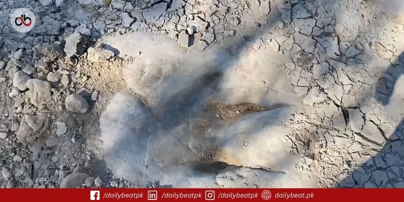 Texas Flood Uncovers 110-Million-Year-Old Dinosaur Footprints