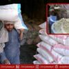 Karachi Flour Crisis: Prices Soar Amid Shortage Fears