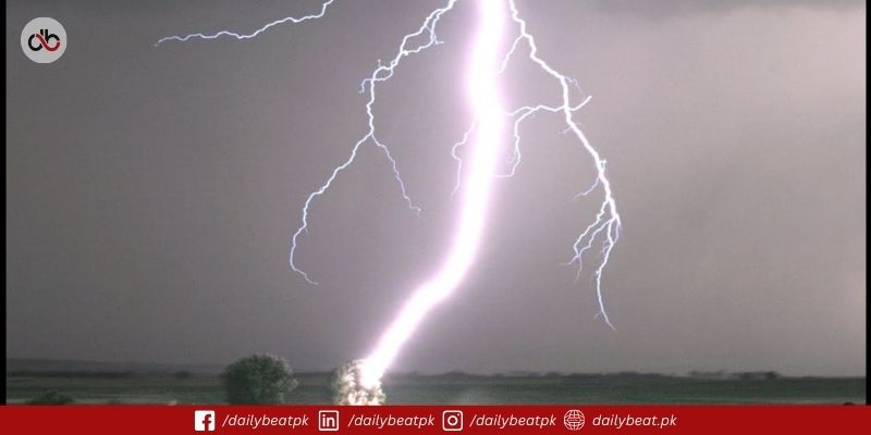 Lightning Strike Kills Man, 23 Animals in Thar Parkar